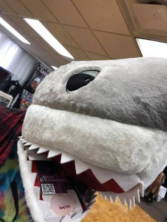 28056516_812455612259402_2758400018040335513_n